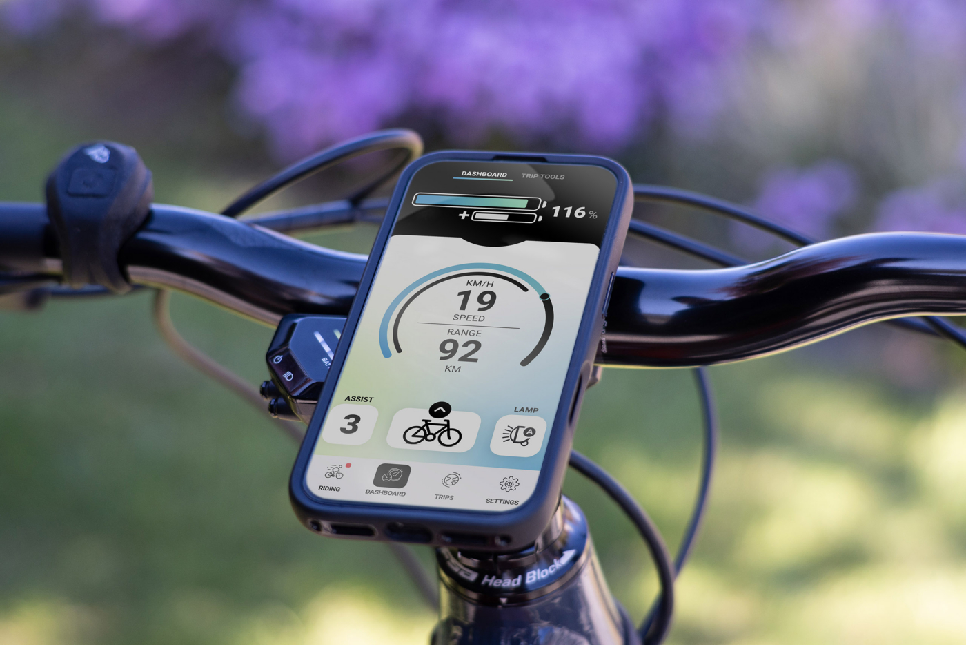 Navie_photo_Dashboard_web